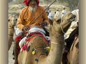 صور من ابداع اعضاء عمان فوتو