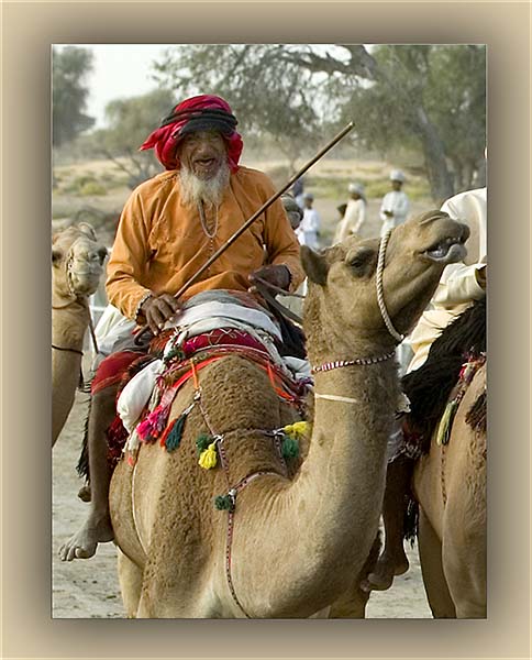 صور من ابداع اعضاء عمان فوتو