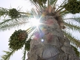 صور من ابداع اعضاء عمان فوتو