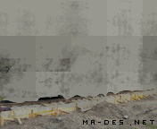 MMS المسافر راح