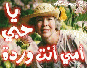 بطاقات الأم