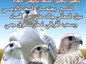 %D8%B5%D9%82%D9%88%D8%B1