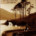 alkaleg_com1010420072481123