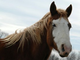 alamuae_gallery-227_1_