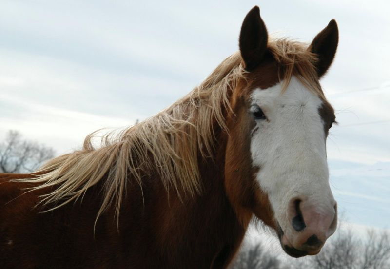 alamuae_gallery-227_1_