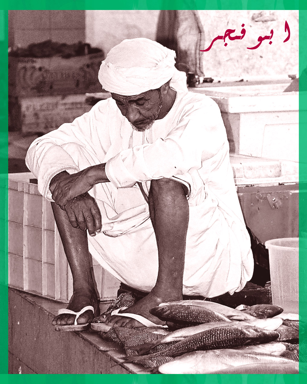 صور من ابداع اعضاء عمان فوتو