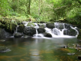 صور منوعة من الإنترنت