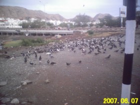 من الكاميرا