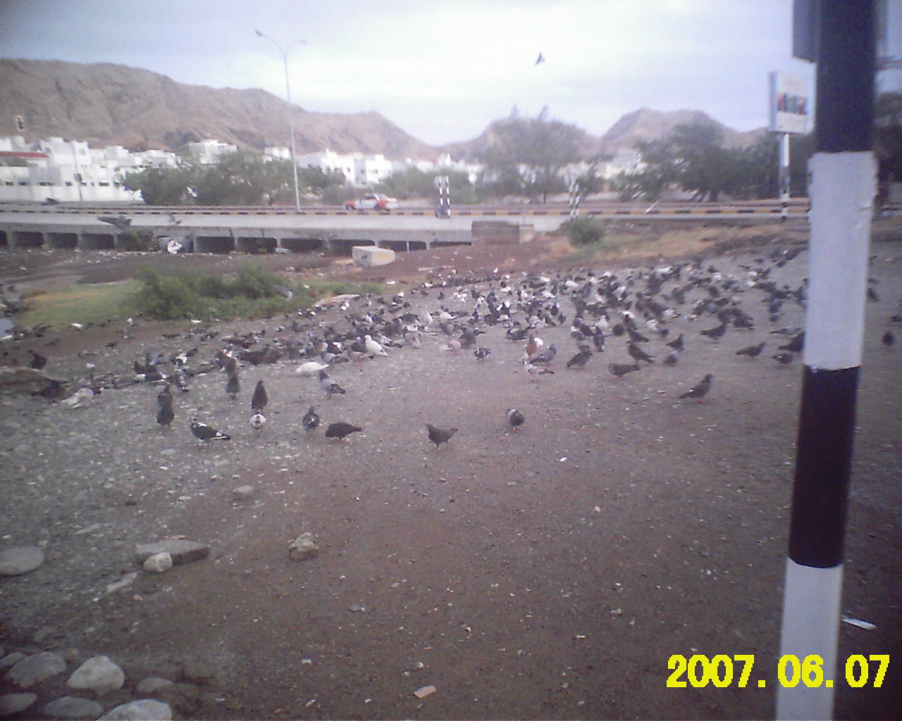 من الكاميرا