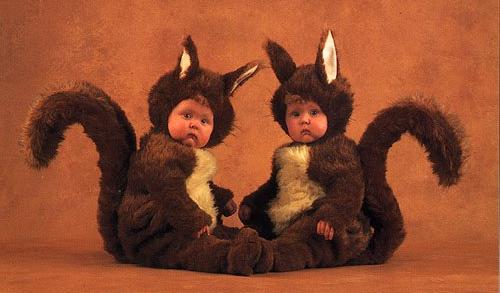 Baby-044