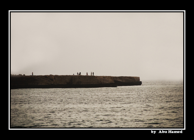 صور من ابداع اعضاء عمان فوتو