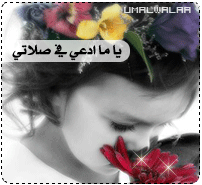 um-walaa_Rtu0w2