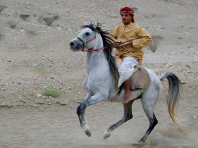 صور من ابداع اعضاء عمان فوتو