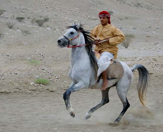 صور من ابداع اعضاء عمان فوتو