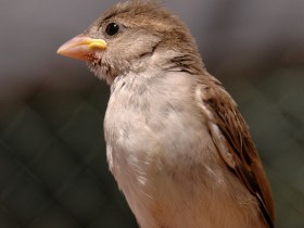 صور من ابداع اعضاء عمان فوتو