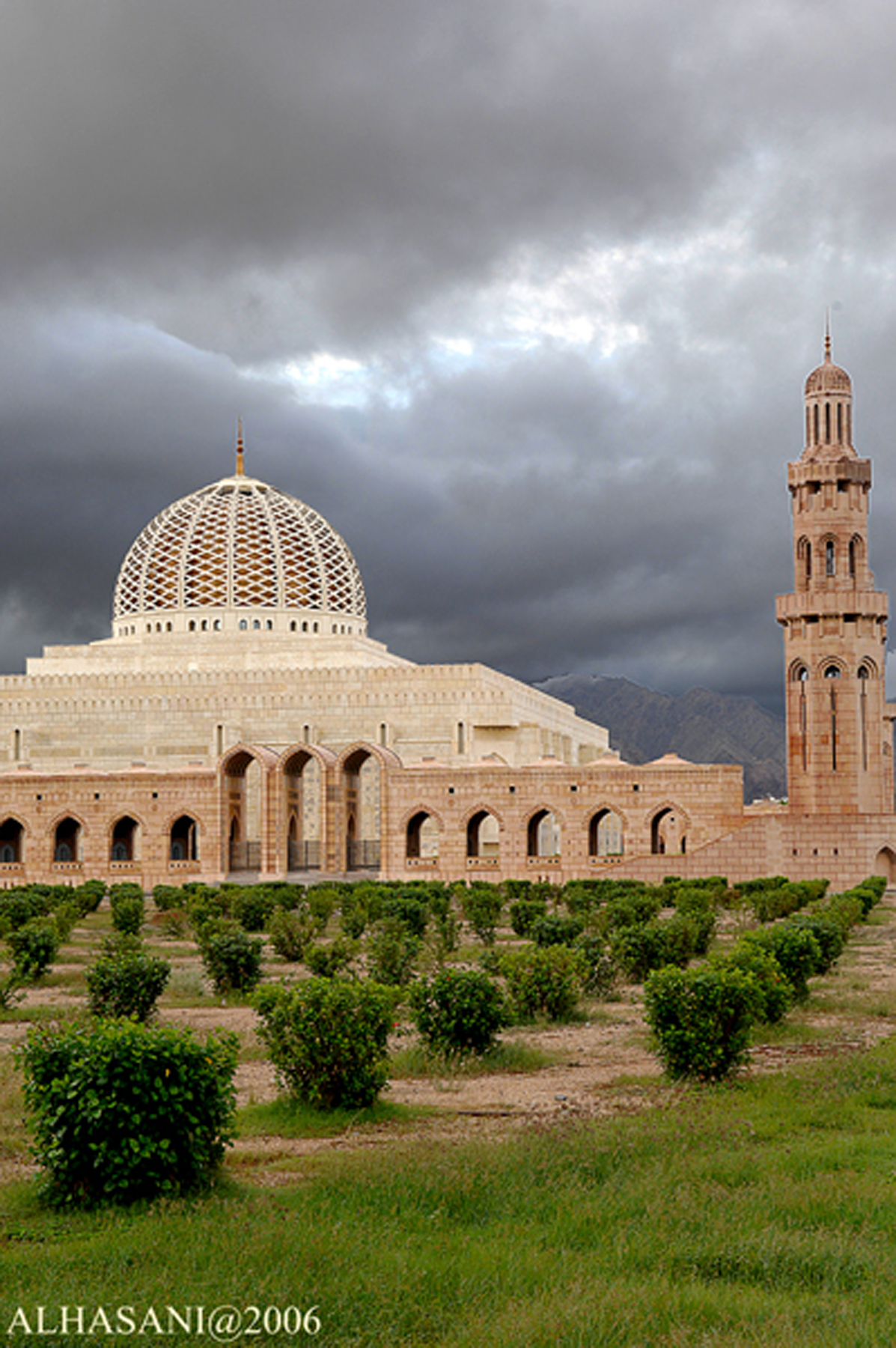 صور من ابداع اعضاء عمان فوتو