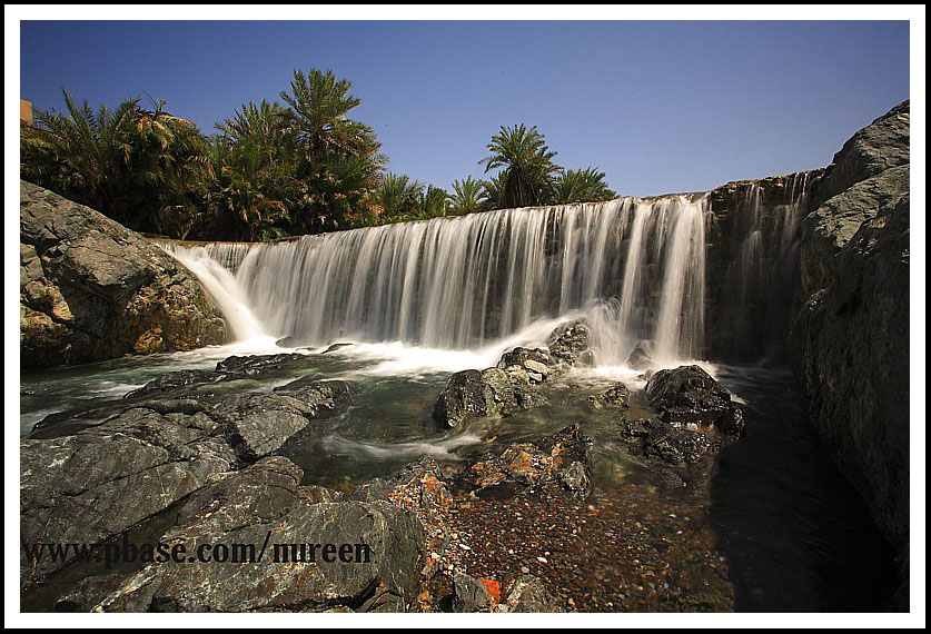 صور من ابداع اعضاء عمان فوتو