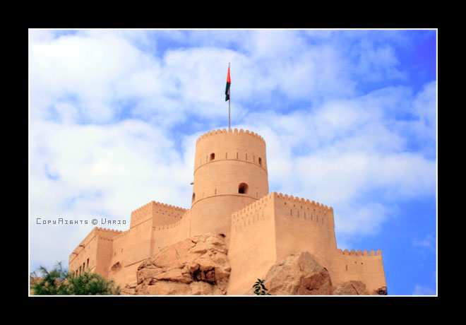 صور من ابداع اعضاء عمان فوتو