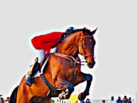 صور من ابداع اعضاء عمان فوتو