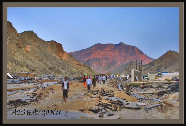 صور من ابداع اعضاء عمان فوتو