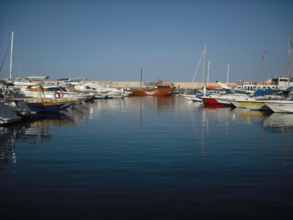 DSCF1589