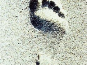 أولى الخطوات أصعبها