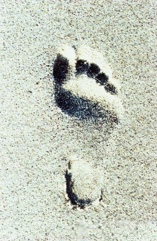 أولى الخطوات أصعبها