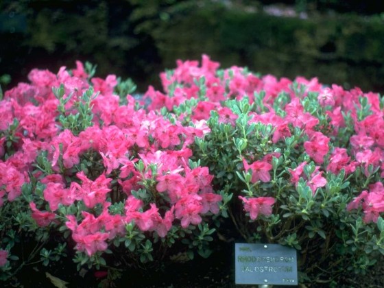 PTBL0122