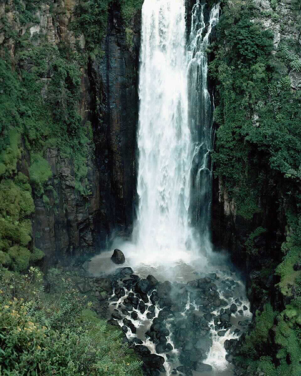 SCWT0035