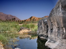 صور من ابداع اعضاء عمان فوتو