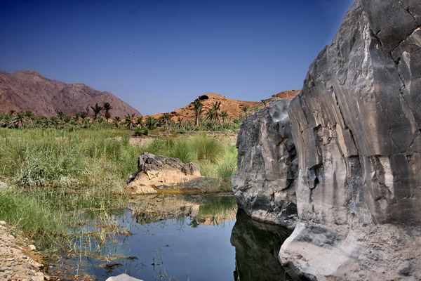صور من ابداع اعضاء عمان فوتو