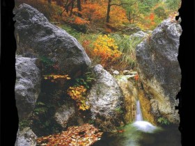 صور منوعة من الإنترنت