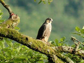 صور منوعة من الإنترنت