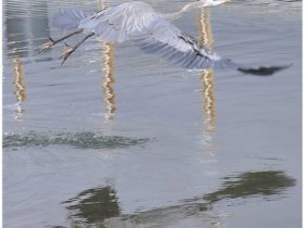 صور منوعة من الإنترنت