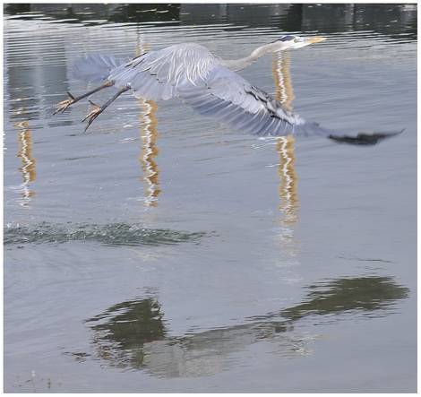 صور منوعة من الإنترنت