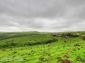 صور من ابداع اعضاء عمان فوتو