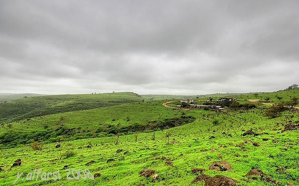صور من ابداع اعضاء عمان فوتو