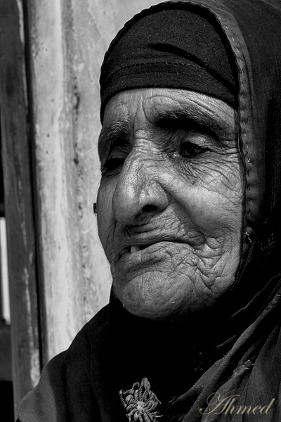 صور من ابداع اعضاء عمان فوتو