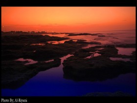 صور من ابداع اعضاء عمان فوتو