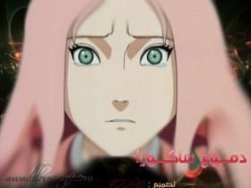 DOMOOA SAK@URA BY BOOS10