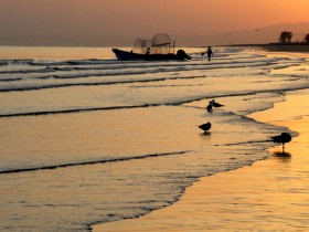 صور من ابداع اعضاء عمان فوتو