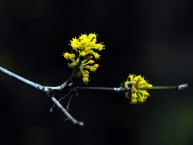 صور من ابداع اعضاء عمان فوتو