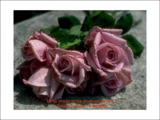 image005