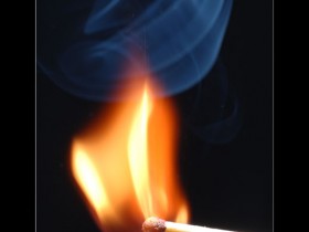 صور من ابداع اعضاء عمان فوتو