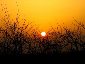 صور من ابداع اعضاء عمان فوتو