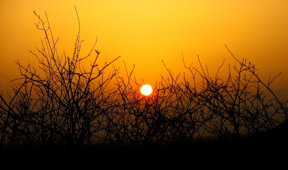 صور من ابداع اعضاء عمان فوتو