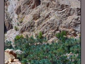 صور من ابداع اعضاء عمان فوتو