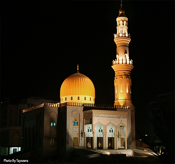 صور من ابداع اعضاء عمان فوتو