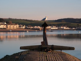 صور منوعة من الإنترنت