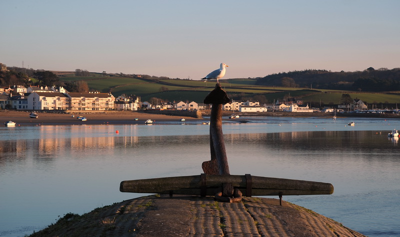 صور منوعة من الإنترنت